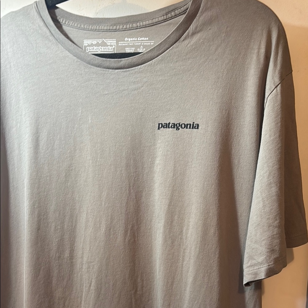 Patagonia Gray Short Sleeve Tee Classic Crew Neck